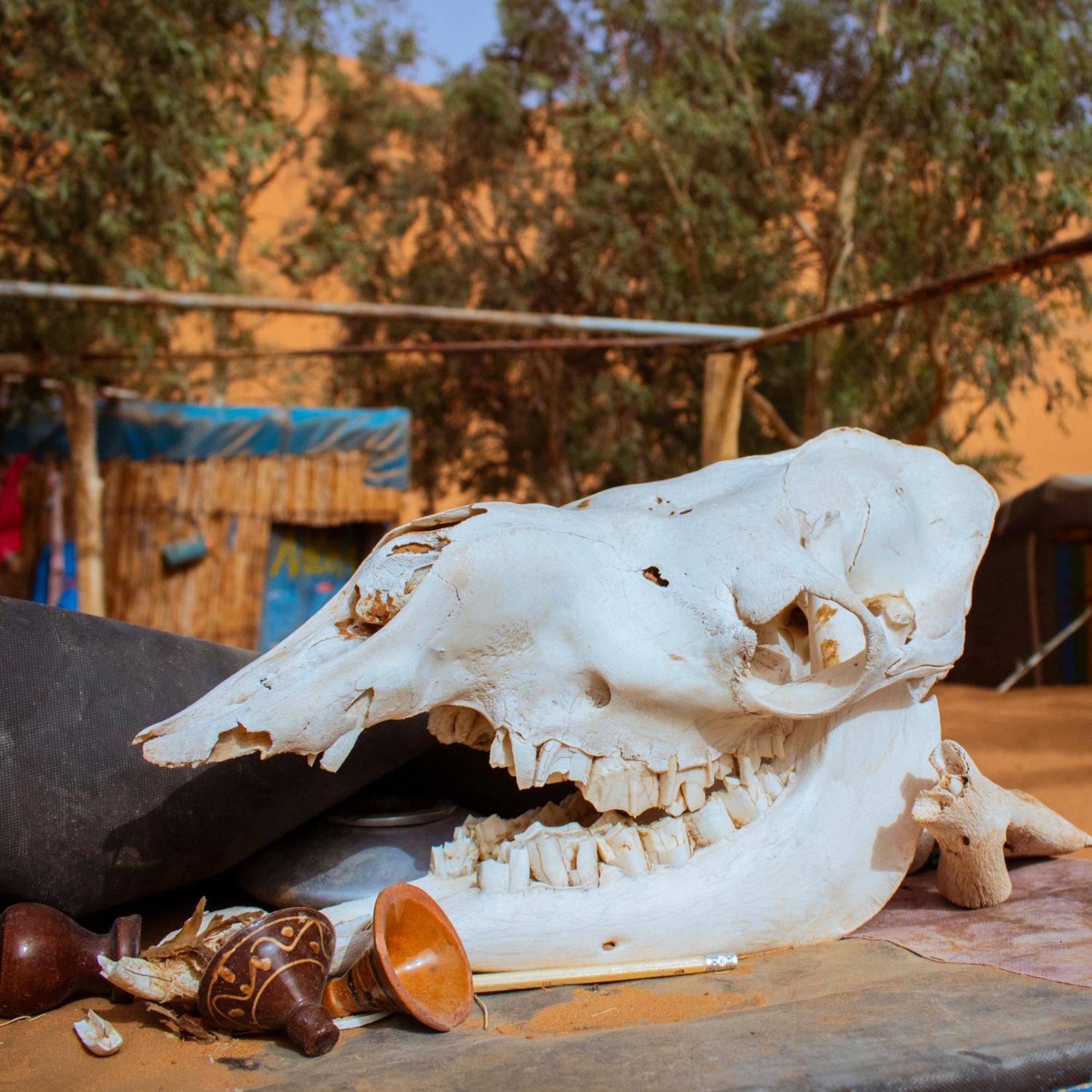 Oasis Desert Camp Obira เมอร์ซูกา ภายนอก รูปภาพ