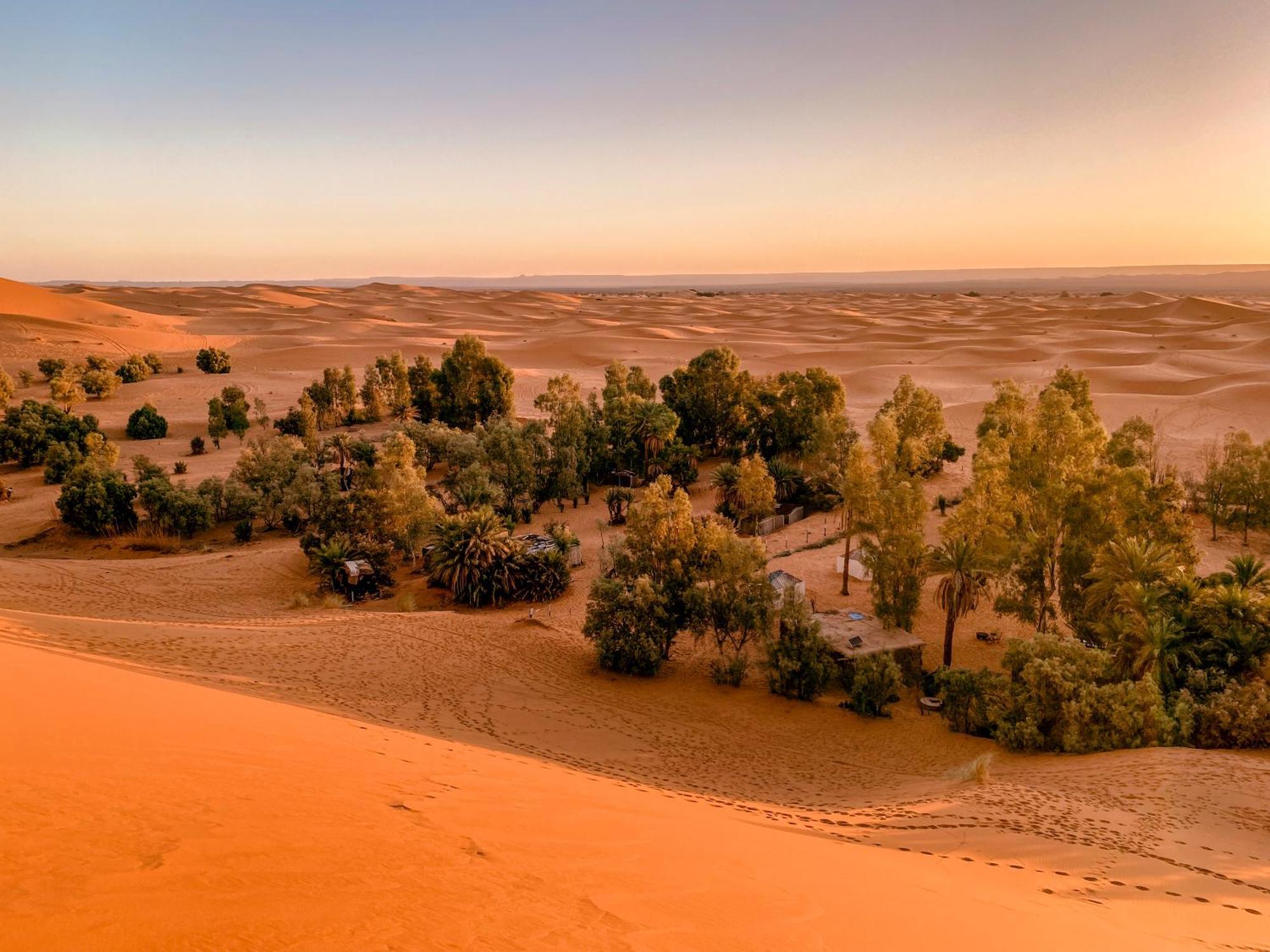 Oasis Desert Camp Obira เมอร์ซูกา ภายนอก รูปภาพ